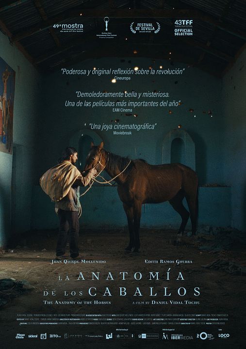 The Anatomy of the Horses : Affiche