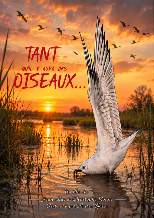 Tant qu’il y aura des oiseaux : Affiche