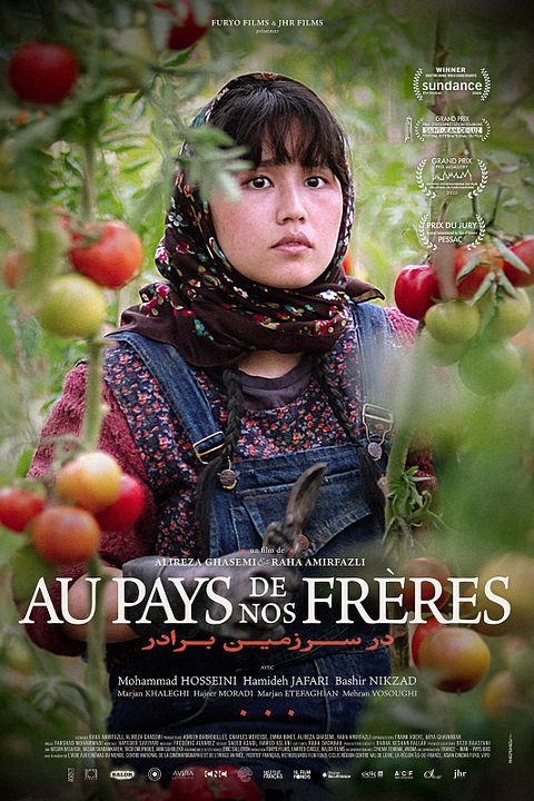 Au pays de nos frères : Affiche
