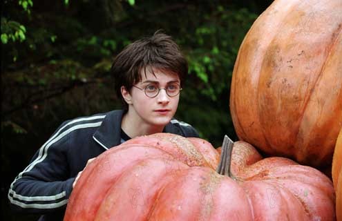 Harry Potter et le Prisonnier d'Azkaban : Photo Daniel Radcliffe, Alfonso Cuarón