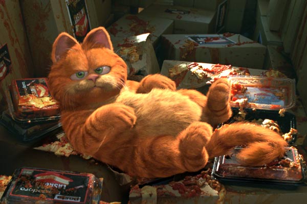 Garfield : Photo