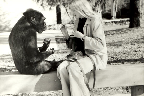 Koko, le gorille qui parle : Photo Barbet Schroeder, Penny Patterson