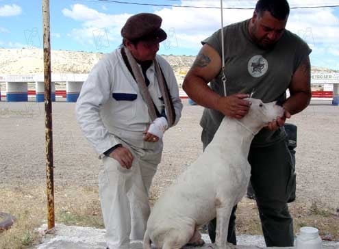Bombon el perro : Photo Juan Villegas, Walter Donado, Carlos Sorín