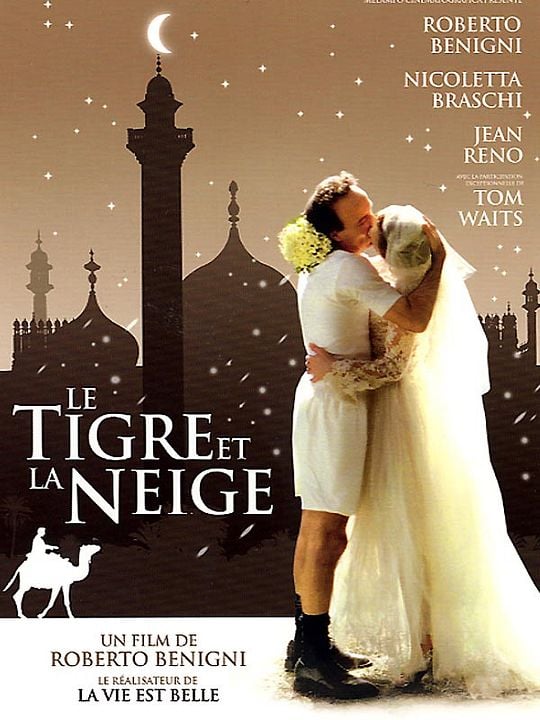 Le Tigre et la neige : Affiche