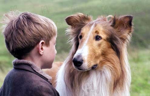Lassie : Photo Jonathan Mason, Charles Sturridge
