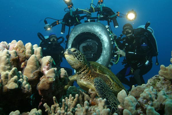 Deep Sea dansons sous la mer : Photo Howard Hall