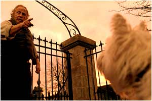 The Adventures Of Greyfriars Bobby : Photo