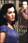 Stray Dogs : Affiche