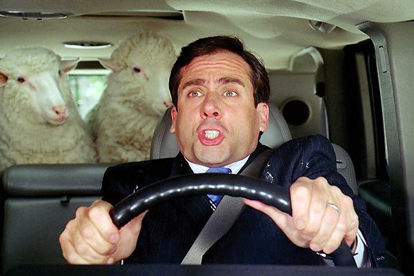 Evan tout-puissant : Photo Steve Carell