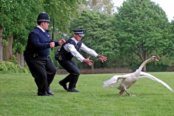 Hot Fuzz : Photo