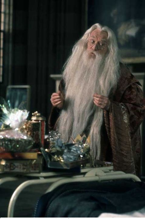 Harry Potter à l'école des sorciers : Photo Chris Columbus, Richard Harris