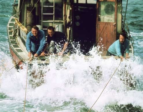 Les Dents de la Mer : Photo Roy Scheider, Robert Shaw, Steven Spielberg