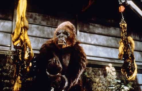 King Kong II : Photo John Guillermin