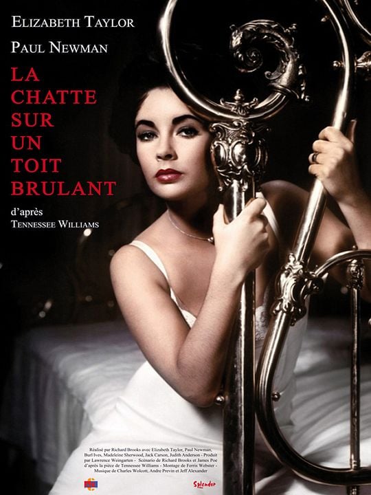 La Chatte sur un toit brûlant : Affiche