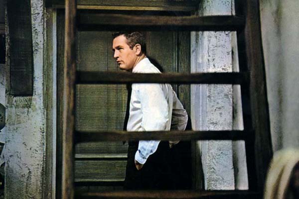 Le Rideau déchiré : Photo Paul Newman, Alfred Hitchcock