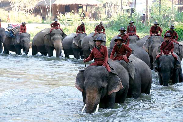 Sunny et l'éléphant : Photo Olivier Horlait, Frédéric Lepage