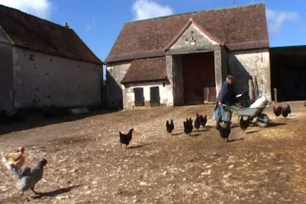 Yvette bon Dieu ! : Photo Sylvestre Chatenay