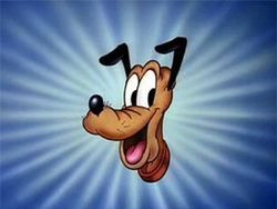 Poster Pluto Affiche 1 Sur 1 AlloCin 