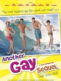 Another Gay Sequel: Gays Gone Wild! : Affiche