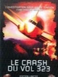 Le Crash du vol 323 : Affiche