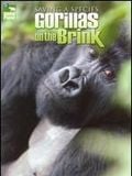 Saving a Species : Gorillas on the Brink : Affiche