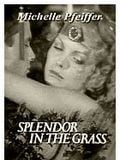 Splendor in the Grass : Affiche