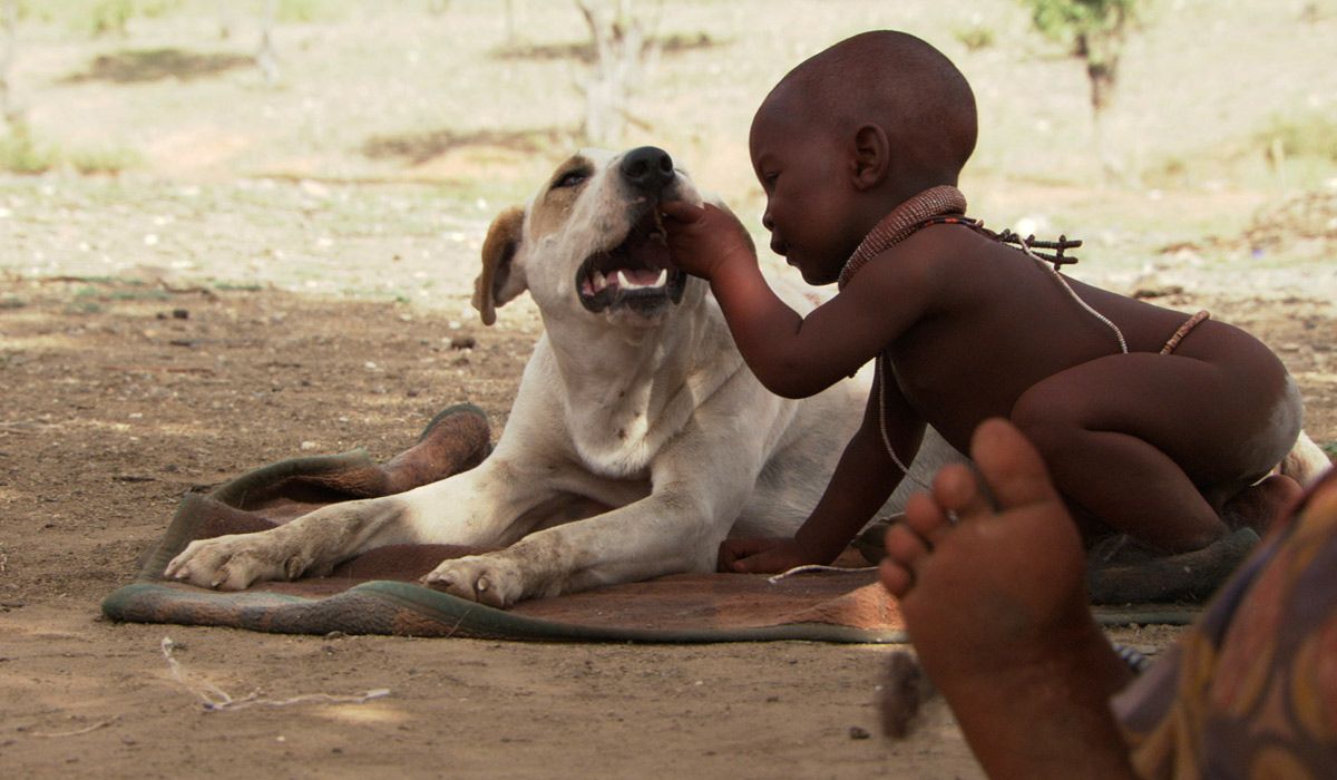 Bébés : Photo Thomas Balmès