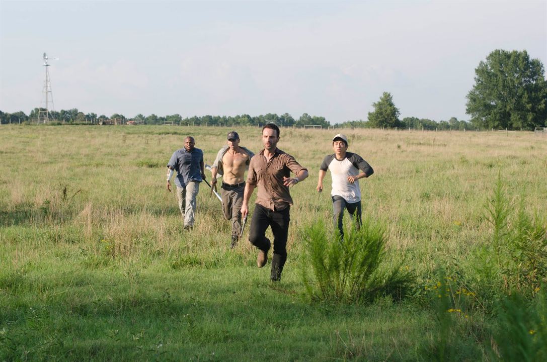 The Walking Dead : Photo Steven Yeun, IronE Singleton, Andrew Lincoln, Jon Bernthal