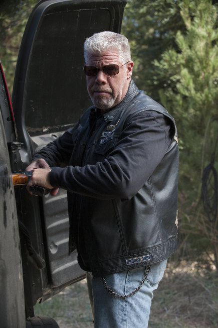 Sons of Anarchy : Photo Ron Perlman