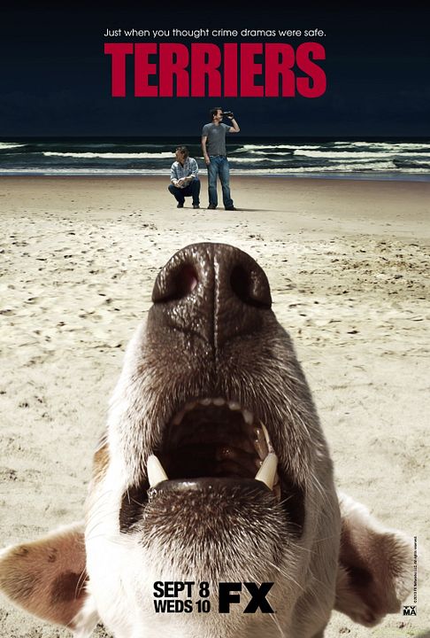 Terriers : Photo
