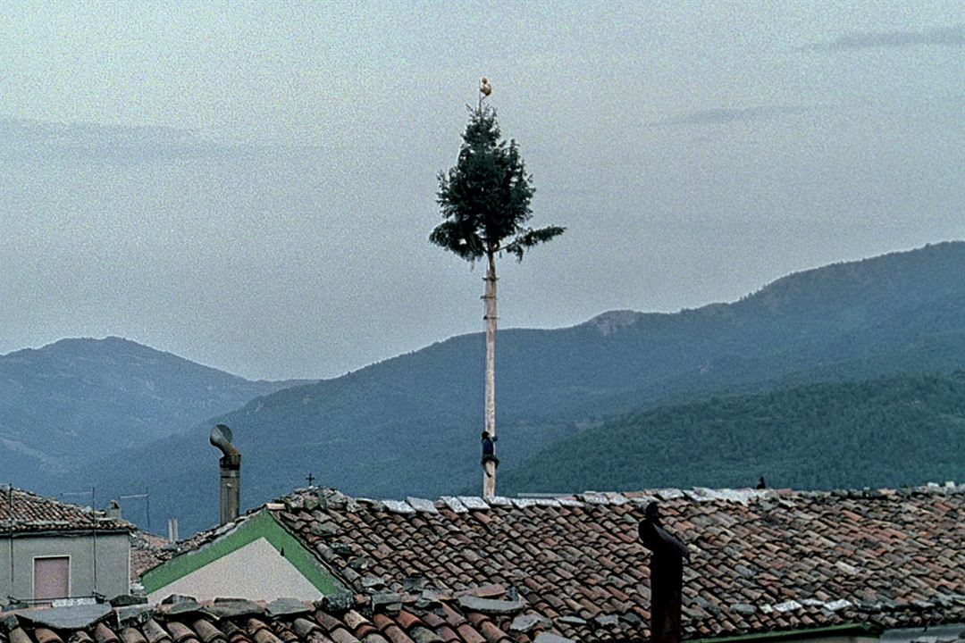 Le Quattro Volte : Photo Michelangelo Frammartino