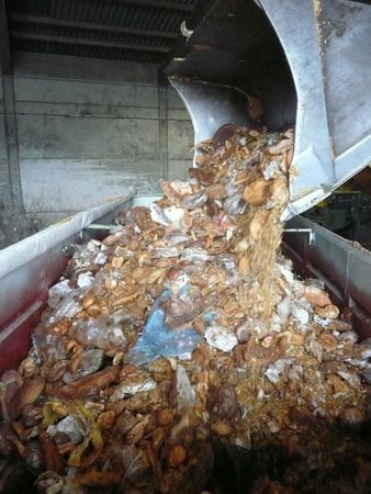 Taste the Waste : Photo