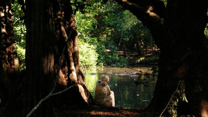 Jane Goodall : retour à Gombe : Photo