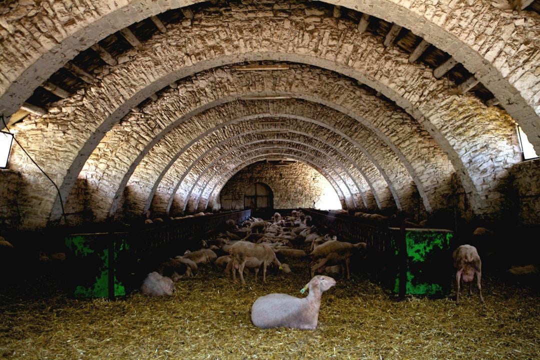 Tous au Larzac : Photo