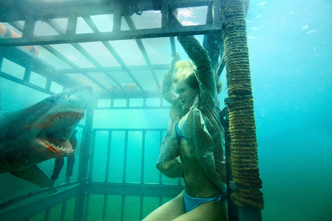 Shark 3D : Photo