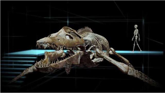 Océanosaures 3D : Voyage au Temps des Dinosaures : Photo