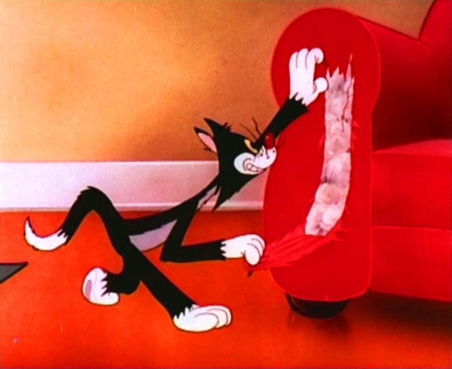 Tex Avery Cartoons n°2 : Photo