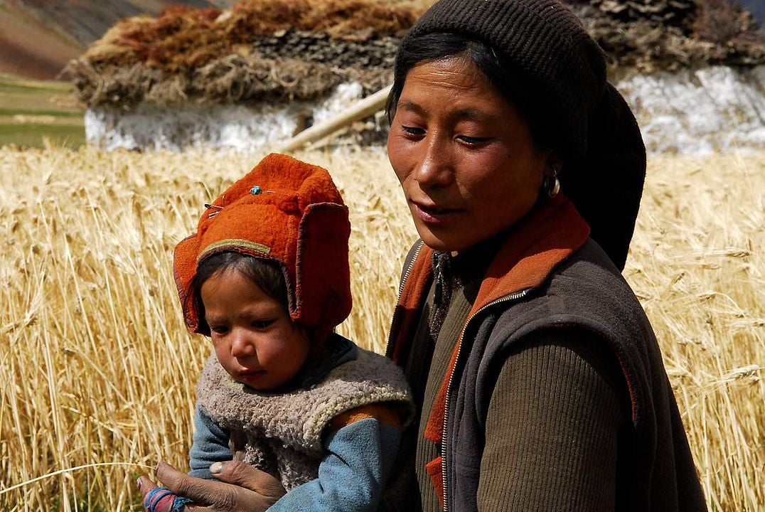 Himalaya, terre des femmes : Photo