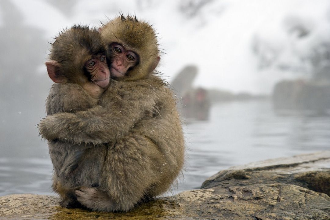 One Life : Photo