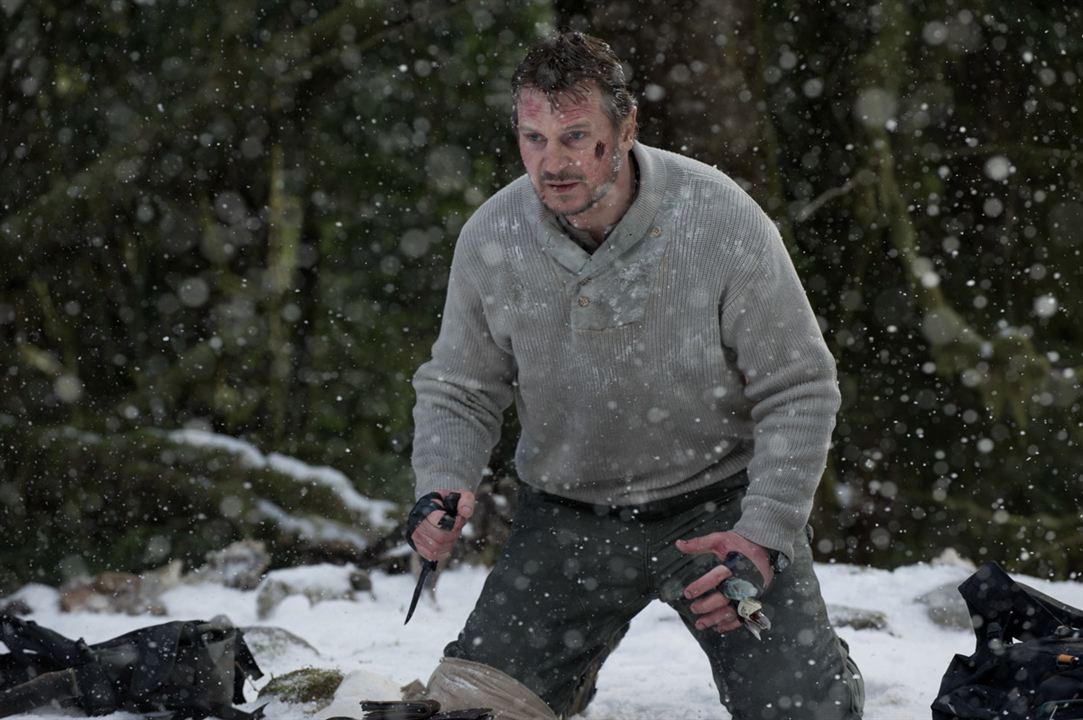 Le Territoire des Loups : Photo Liam Neeson, Joe Carnahan