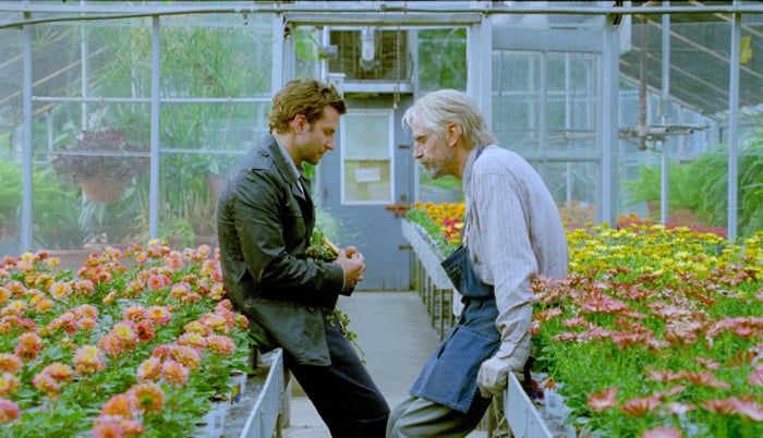 The Words : Photo Jeremy Irons, Bradley Cooper