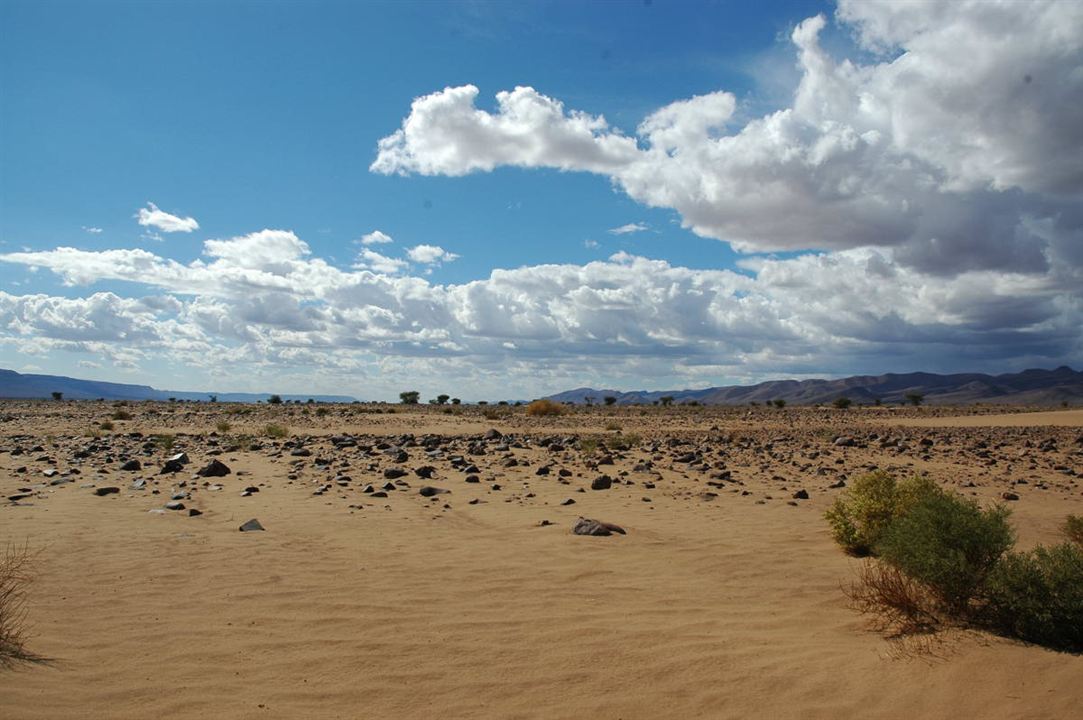 Allein die Wüste : Photo