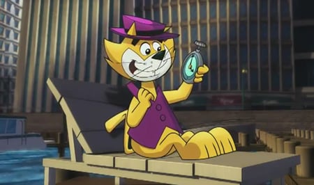 Top Cat : Photo