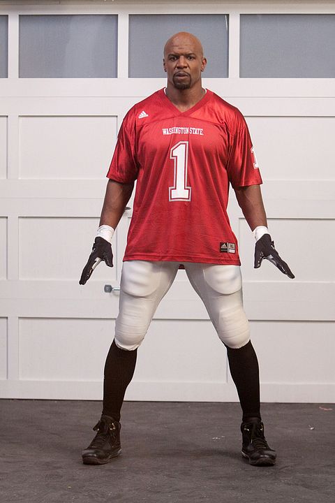 Ma femme, ses enfants et moi : Photo Terry Crews