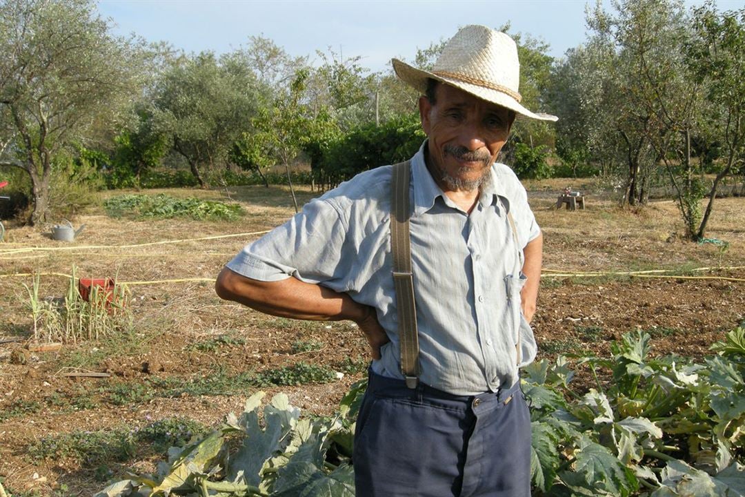 Pierre Rabhi au nom de la terre : Photo