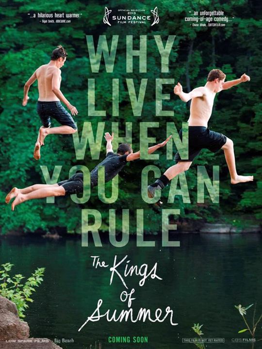 The Kings of Summer : Affiche