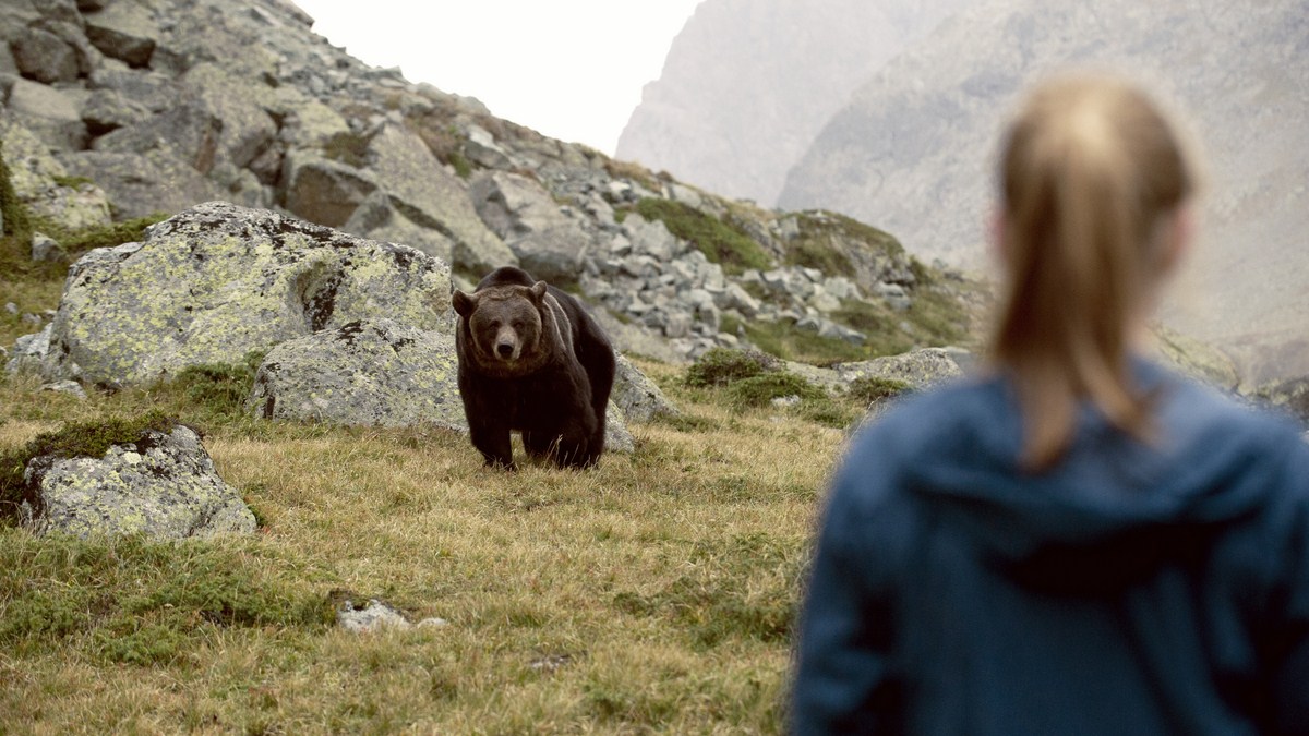 Clara et le secret des ours : Photo