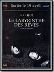 Le Labyrinthe des reves : Affiche