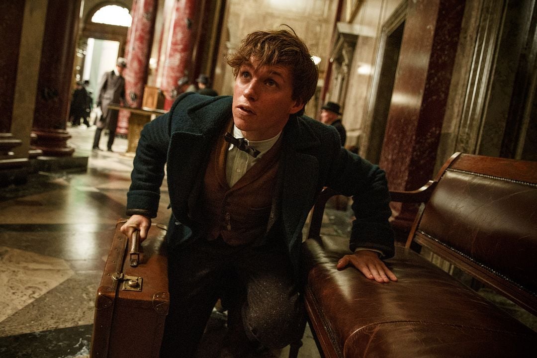 Les Animaux Fantastiques 1 Diffusion Tv Qui est Eddie Redmayne alias Norbert Dragonneau dans Les Animaux