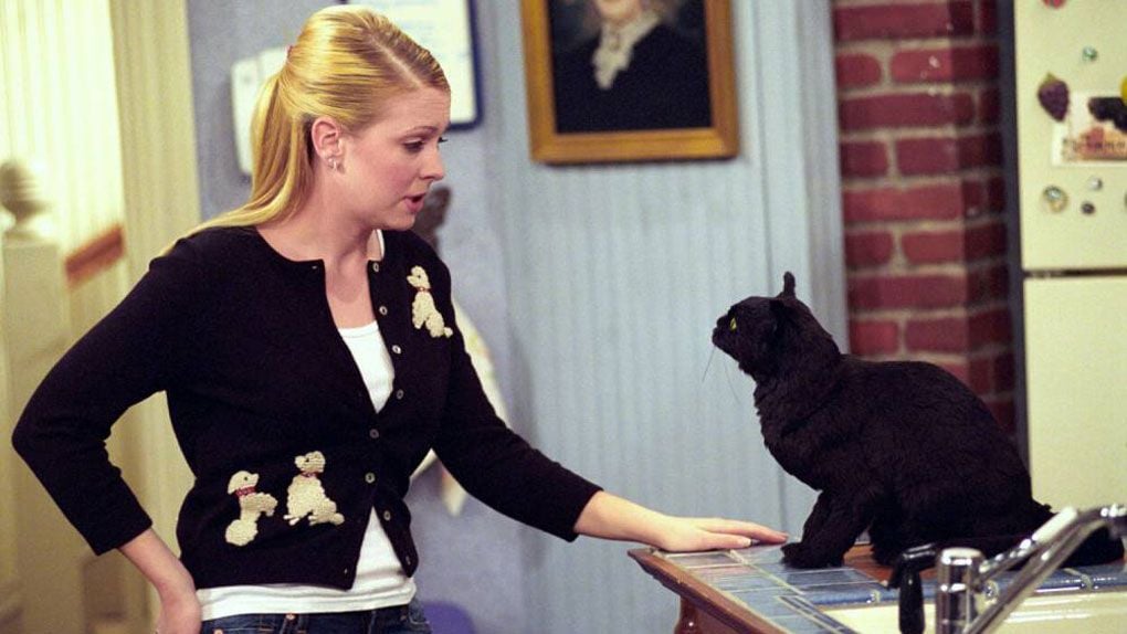Sabrina L Apprentie Sorcière Film KD2A en 15 séries cultes !: Sabrina, l'apprentie sorcière - AlloCiné